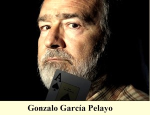 Gonzalo garcia pelayo